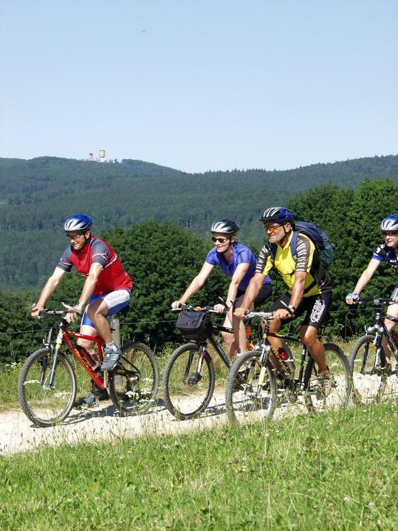 Daschner Gmbh Waldmunchen Bagian luar foto