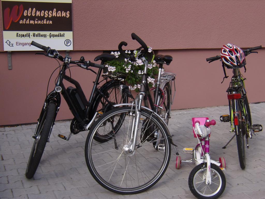 Daschner Gmbh Waldmunchen Bagian luar foto