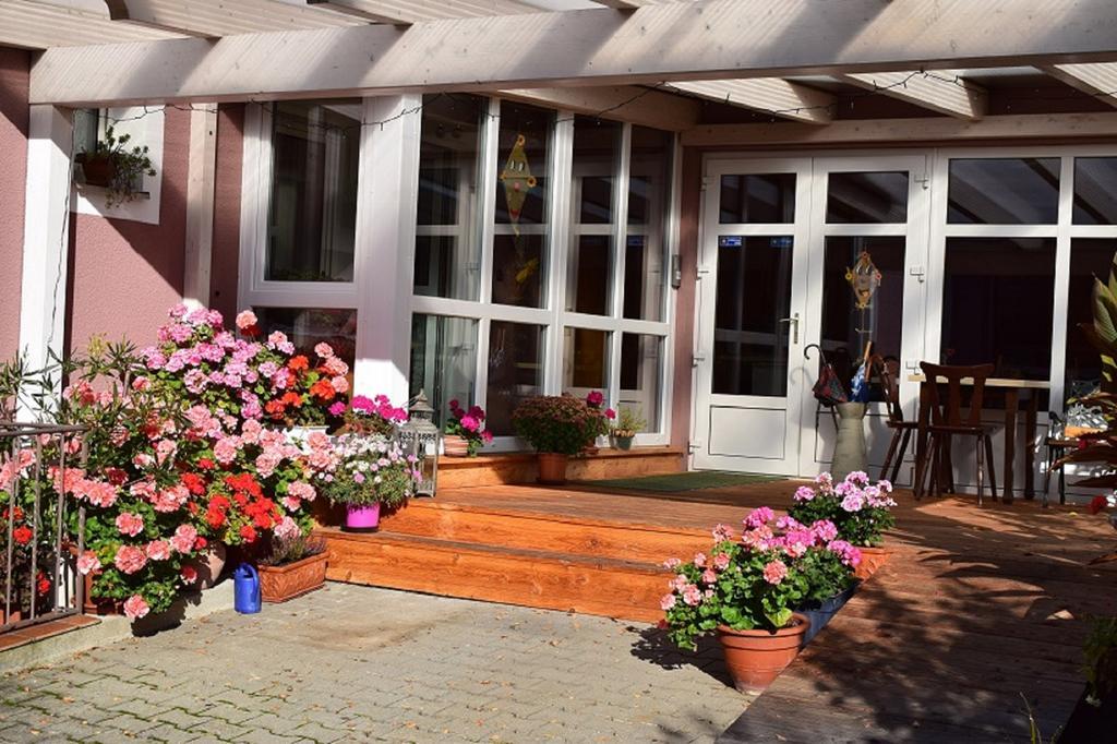 Daschner Gmbh Waldmunchen Bagian luar foto