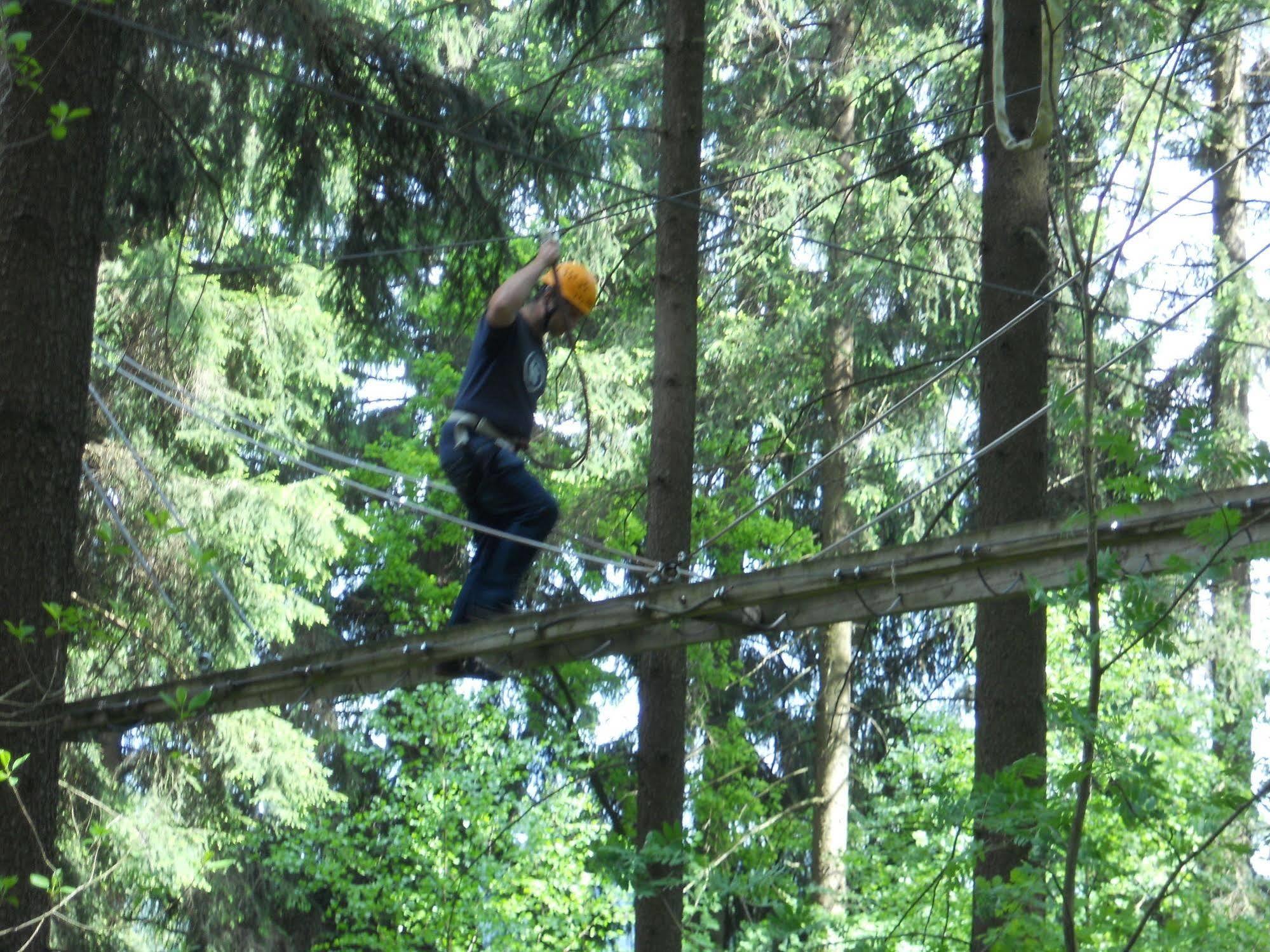 Daschner Gmbh Waldmunchen Bagian luar foto